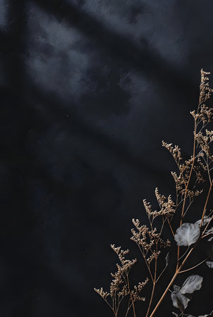 Elegant arrangement of dried floral stems and large dried leaves placed diagonally on deep black textured background with subtle lightの素材