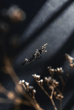 Moody still life featuring small dried plant against deep textured surface with dramatic light rays and soft bokeh foreground elementsの素材