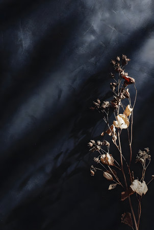 Vertical shot featuring dried wildflowers illuminated by harsh light casting elongated shadows across a rugged dark blue gray backdropの素材