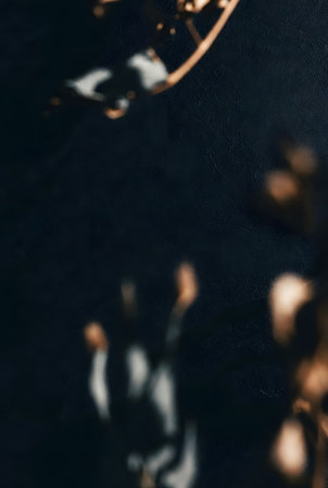 Mysterious abstract composition dark shadowy texture golden bokeh light blur effect atmospheric moody background vertical orientationの素材
