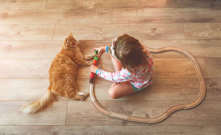 Happy little kid girl playing with toy train together with pet cat while sitting on the floor. Top view. Kindergarten home education conceptの写真素材