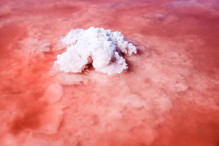 The salty shore in Kherson region, Ukraine. The water looks pink due to a special algae that grows in high levels of salt. White salt island in pink waterの写真素材