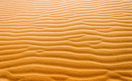 Patterns in the biggest Desert in Europe. Beautiful texture of desert sand dunes in Oleshky Sands, Kherson region, Ukraine.の写真素材
