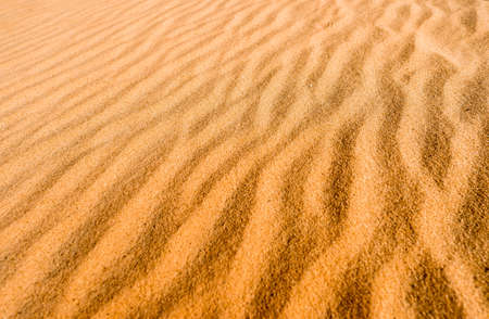 Beautiful texture of desert sand dunes in Oleshky Sands, Kherson region, Ukraine. The largest desert in Europeの写真素材