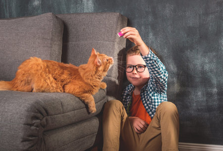 boy playing with a cat. Kid with ginger pet cat.の写真素材