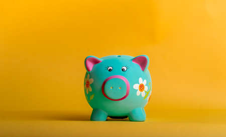 Blue piggy bank in flowers isolated on yellow background, Funny bank for kid savings. Financial education for children. The figure of money savings and investingの写真素材