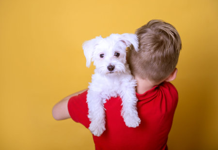 Close up dog face on childs shoulders. Portrait of kid hugging white little dog. Boy with best...
