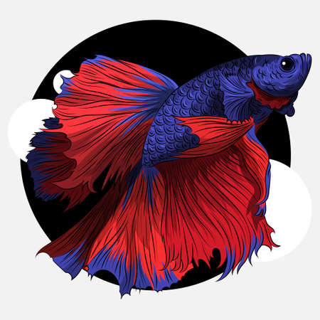 Pattern Tile Seamless Square Ornamentのイラスト素材