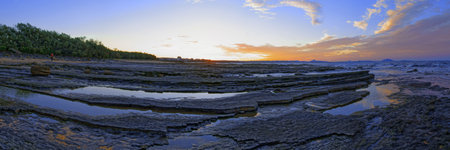 rocky beach             