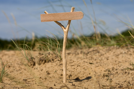 Wooden pointer standing in a forest in the grass with blank background for textの写真素材