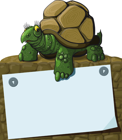 Intelligent Turtle teaches showing paw on sheet with space for textのイラスト素材