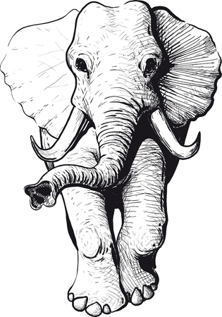 Wandering elephant with raised trunk type of headのイラスト素材