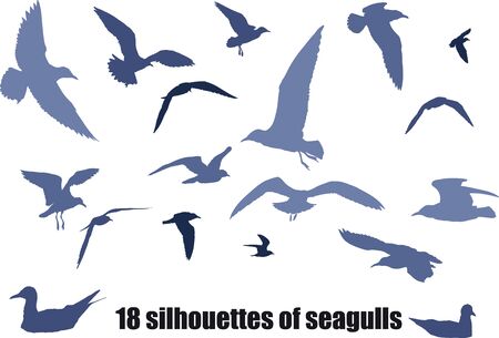 Illustration of seagulls silhouette.のイラスト素材