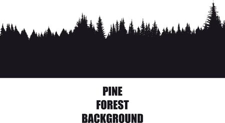 pine Forest Backgroundのイラスト素材