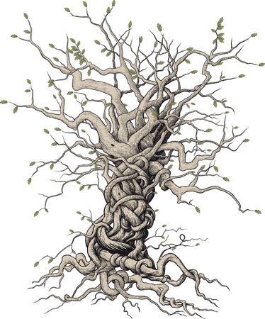 interlaced treeのイラスト素材