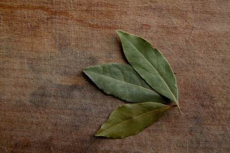 tree dry bay leaf on a rough wooden cutting board