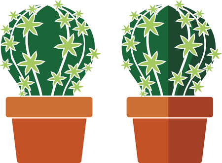 simple decorative room cactus in a ceramic pot isolated on a white background. Two optionsのイラスト素材