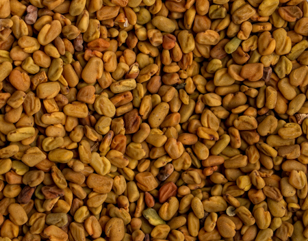 Egypt Yellow Teaの写真素材