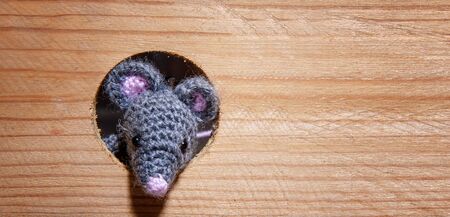 small toy mouse 2020 symbol peeks out of a round mink in a wooden wallの写真素材