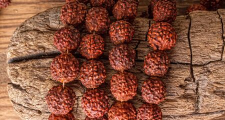 rudraksha Elaeocarpus ganitrus traditional rosary for meditation and protective amulet close-up on an old wooden backgroundの写真素材
