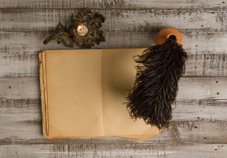 Blank the old diary and accessories for writing ink and feather pen
