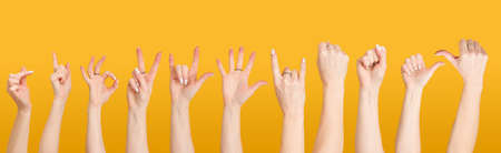 Several different gestures of female hands in various poses close-up on a yellow backgroundの写真素材