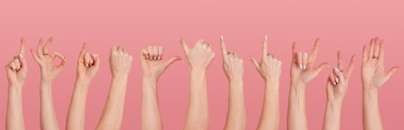 Several different gestures of female hands in various poses close-up on a pink backgroundの写真素材