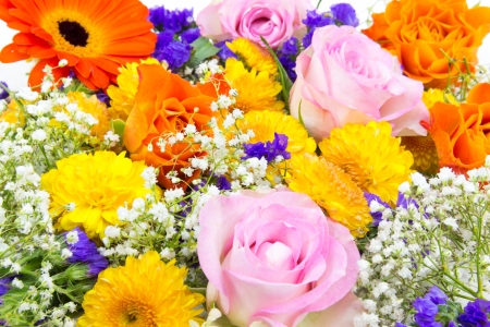 Flower carpet of roses, statice, marigold and chrysanthemumの写真素材