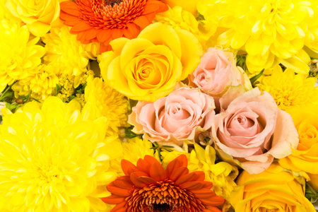 Bloosoms of rose, gerbera, chrysanthemum