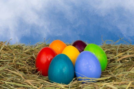 Coloured easter eggs in hayの写真素材