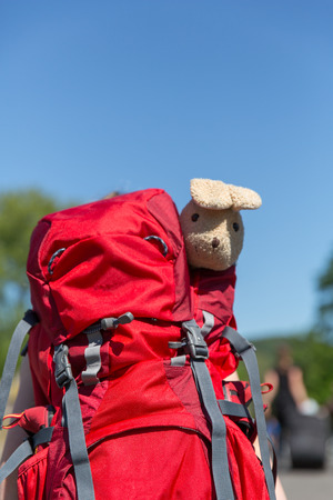 A child with a backpack and a teddy bear on a streetの写真素材