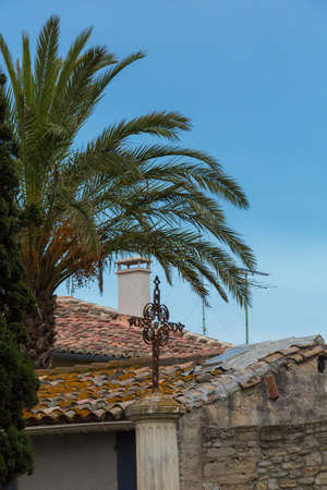 Roofs and palms of Aigues Mortes the South of Franceの写真素材