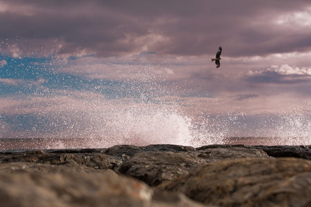 Waves and foam on the shore at Saint Marie de la merの写真素材