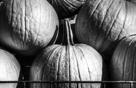Image of Pumpkins at a Market