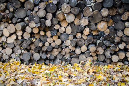 Chopped Woodの写真素材