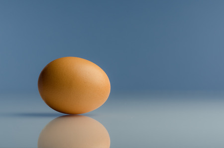 One eggの写真素材