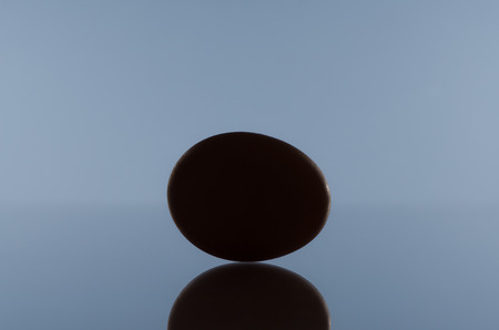 Egg sillhouetteの写真素材