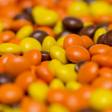 Chocolate and peanut butter candyの写真素材