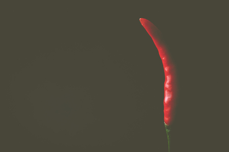 Vintage style red hot chilli pepperの写真素材