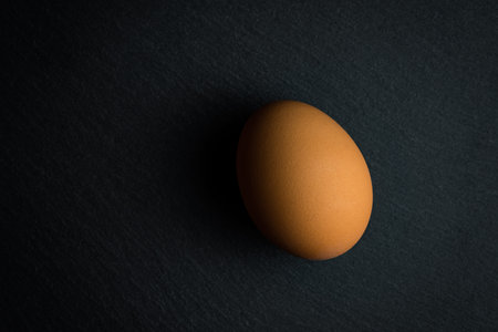 Single egg on black