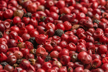 Many red and black peppercornsの写真素材