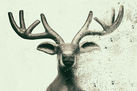 Antique deer head with dispersion effectの写真素材