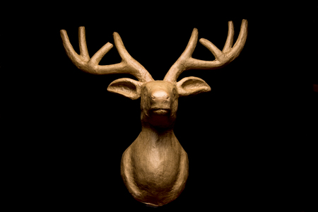 Deer head on blackの写真素材
