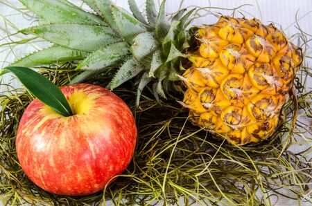 apple   pineappleの写真素材