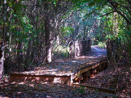 sunny bridge in the forestの写真素材
