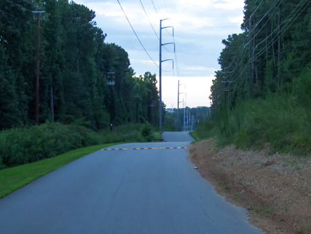 View of an empty road along the forest in the morningの写真素材