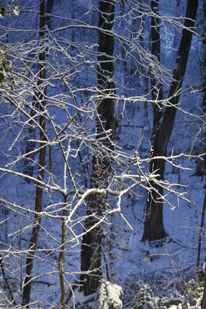 Blue snowy nightの写真素材