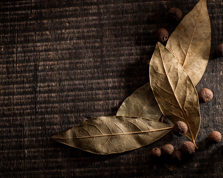 bay leaves in textureの写真素材