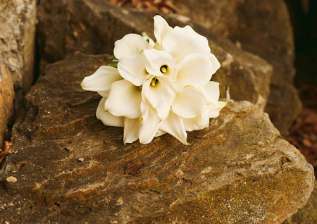 A bouquet of fresh liliesの写真素材
