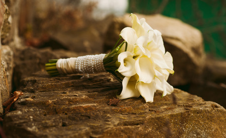 A bouquet of fresh liliesの写真素材